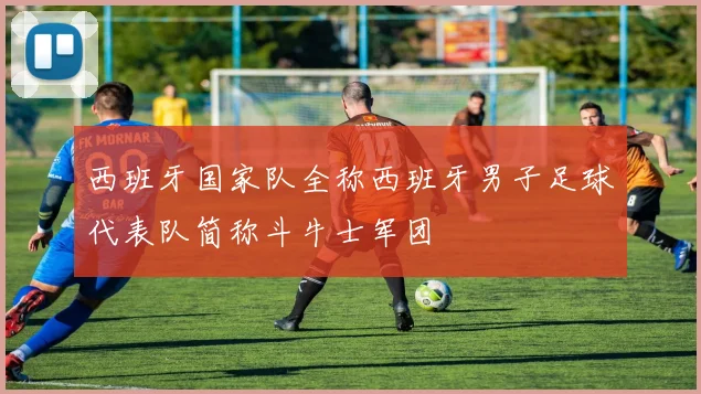西班牙国家队全称西班牙男子足球代表队简称斗牛士军团