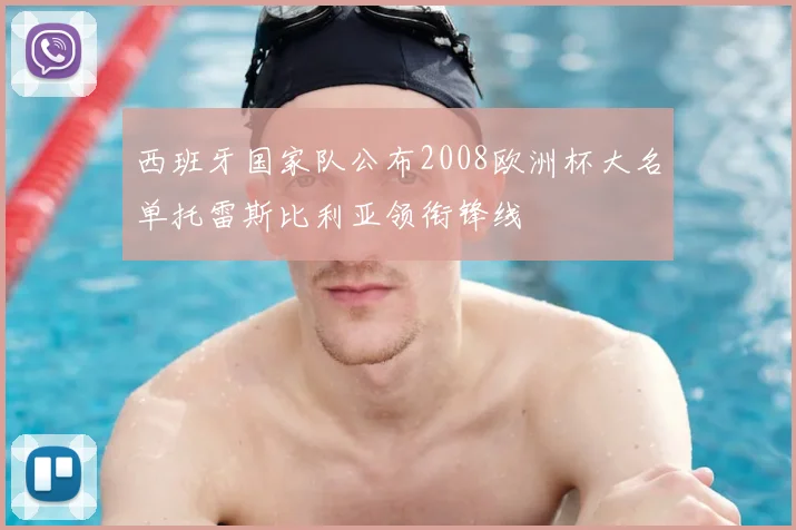 西班牙国家队公布2008欧洲杯大名单托雷斯比利亚领衔锋线