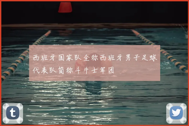 西班牙国家队全称西班牙男子足球代表队简称斗牛士军团