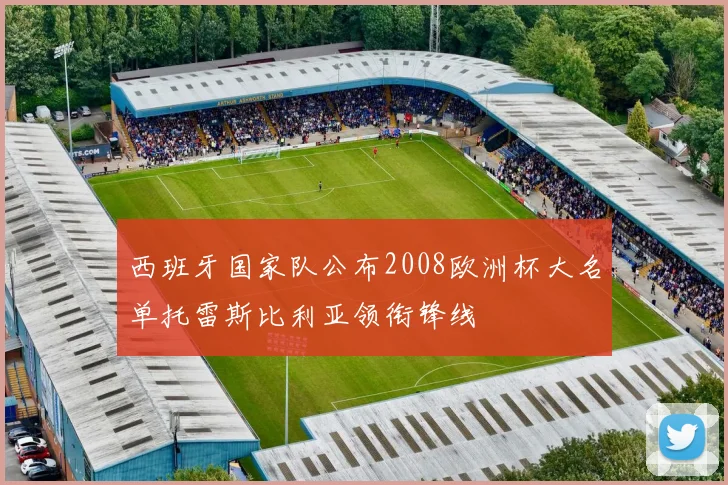 西班牙国家队公布2008欧洲杯大名单托雷斯比利亚领衔锋线